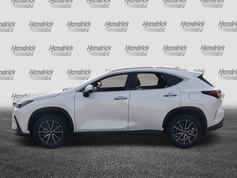 Certified 2024 Lexus NX 250 FWD w/ Cold Area Package image 6