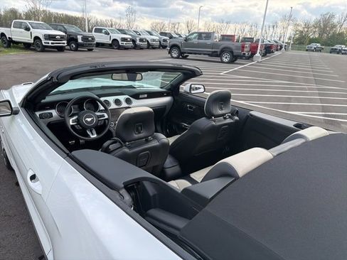 Used 2015 Ford Mustang GT Premium w/ Equipment Group 401A image 18