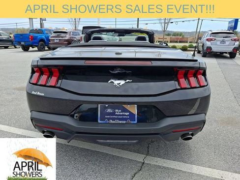Used 2024 Ford Mustang Premium image 9