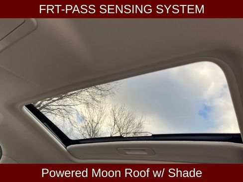 Used 2022 Ford EcoSport SE image 6