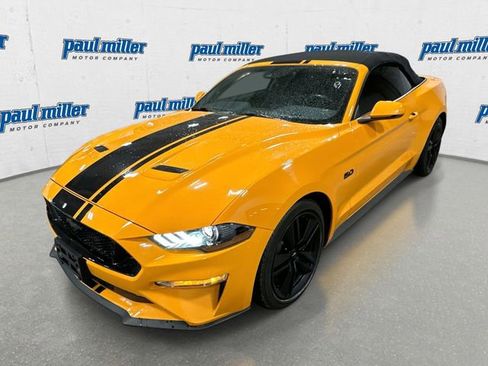 Used 2019 Ford Mustang GT Premium w/ Equipment Group 401A image 1