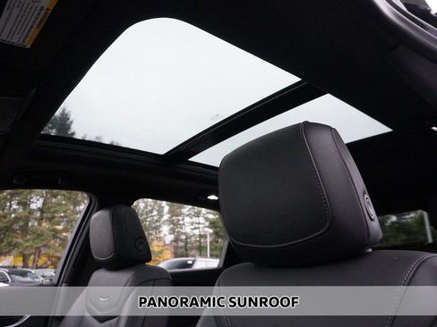 Used 2024 Cadillac XT5 Premium Luxury AWD/4WD image 4