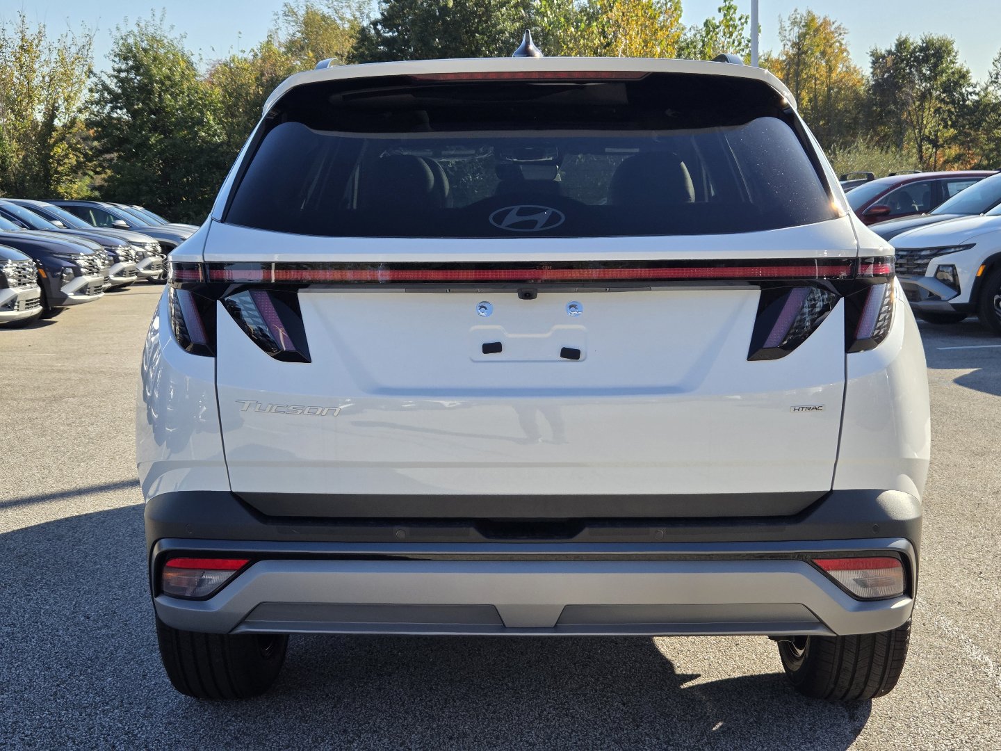 New 2026 Hyundai Tucson Limited AWD/4WD image 19