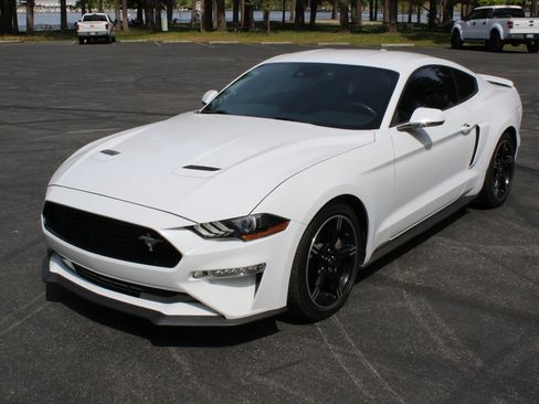 Used 2019 Ford Mustang GT Premium w/ Equipment Group 401A RWD image 3