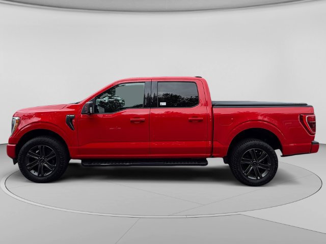 Used 2021 Ford F150 XLT w/ Equipment Group 302A High AWD/4WD image 2