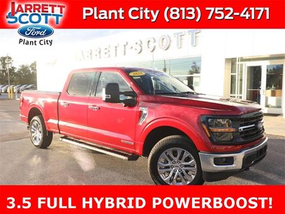 Used 2025 Ford F150 XLT w/ Equipment Group 302A MID