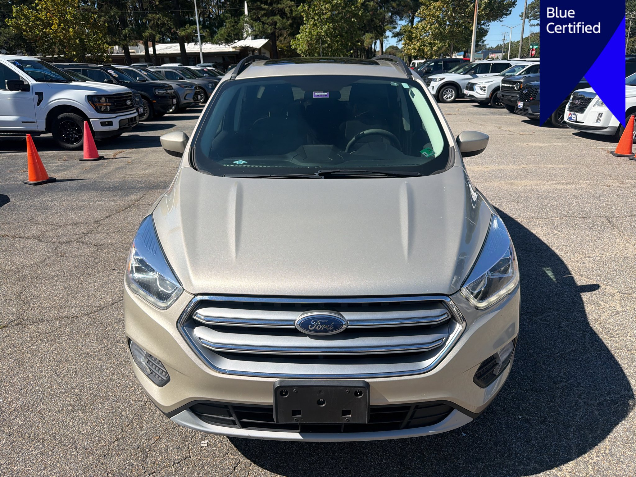 Used 2017 Ford Escape SE w/ Equipment Group 201A AWD/4WD image 2