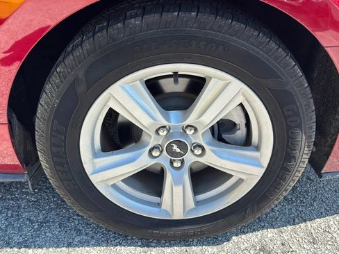 Used 2019 Ford Mustang Coupe RWD image 20