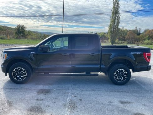 Certified 2023 Ford F150 XLT w/ Equipment Group 302A High image 8