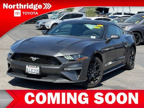 Used 2019 Ford Mustang Coupe w/ Ecoboost Performance Package RWD image 1
