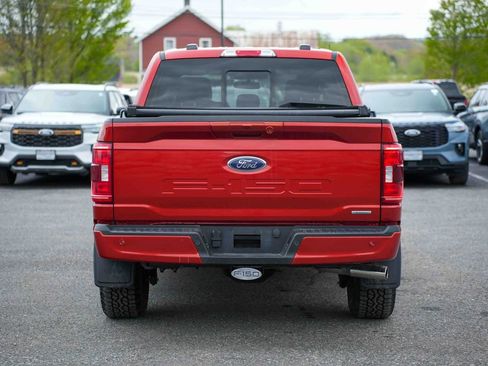 Used 2023 Ford F150 XLT w/ Equipment Group 302A High AWD/4WD image 6