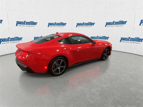 New 2025 Ford Mustang EcoBoost image 12