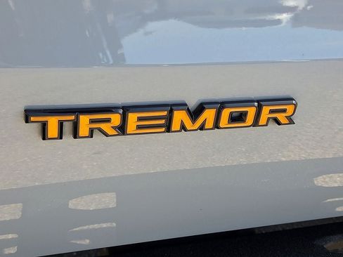 Used 2025 Ford Expedition Tremor AWD/4WD image 10