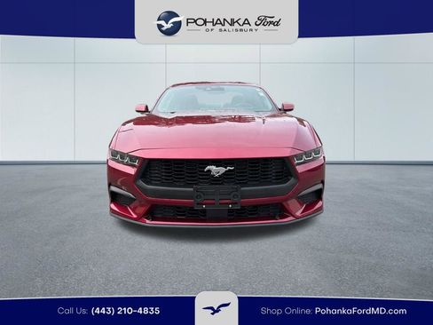 Certified 2025 Ford Mustang Premium RWD image 3