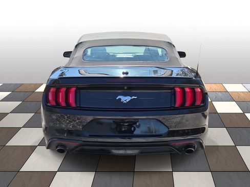 Used 2023 Ford Mustang Premium w/ Equipment Group 201A image 5