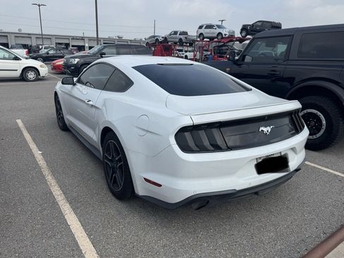 Used 2019 Ford Mustang Coupe w/ Equipment Group 101A RWD image 8