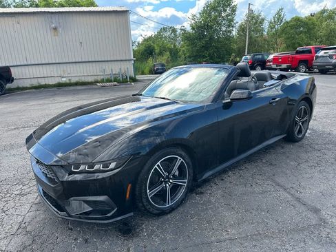 Used 2025 Ford Mustang Premium RWD image 19
