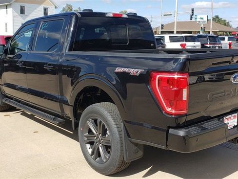 New 2023 Ford F150 XLT w/ Equipment Group 302A High image 6