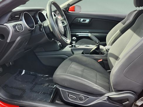 Used 2019 Ford Mustang Coupe w/ Equipment Group 101A image 13