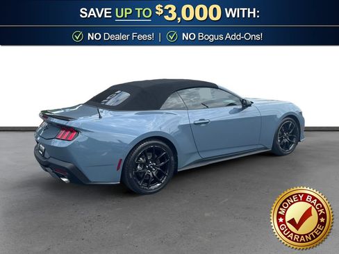 Used 2024 Ford Mustang Premium w/ Mustang Nite Pony Package RWD image 7