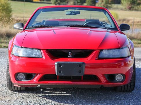 Used 1999 Ford Mustang Cobra RWD image 4