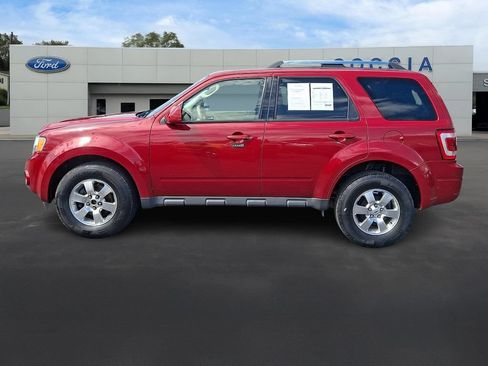 Used 2011 Ford Escape Limited w/ 302A Rapid Spec Order Code AWD/4WD image 7
