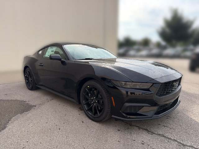 New 2026 Ford Mustang Coupe w/ Mustang Nite Pony Package RWD image 3