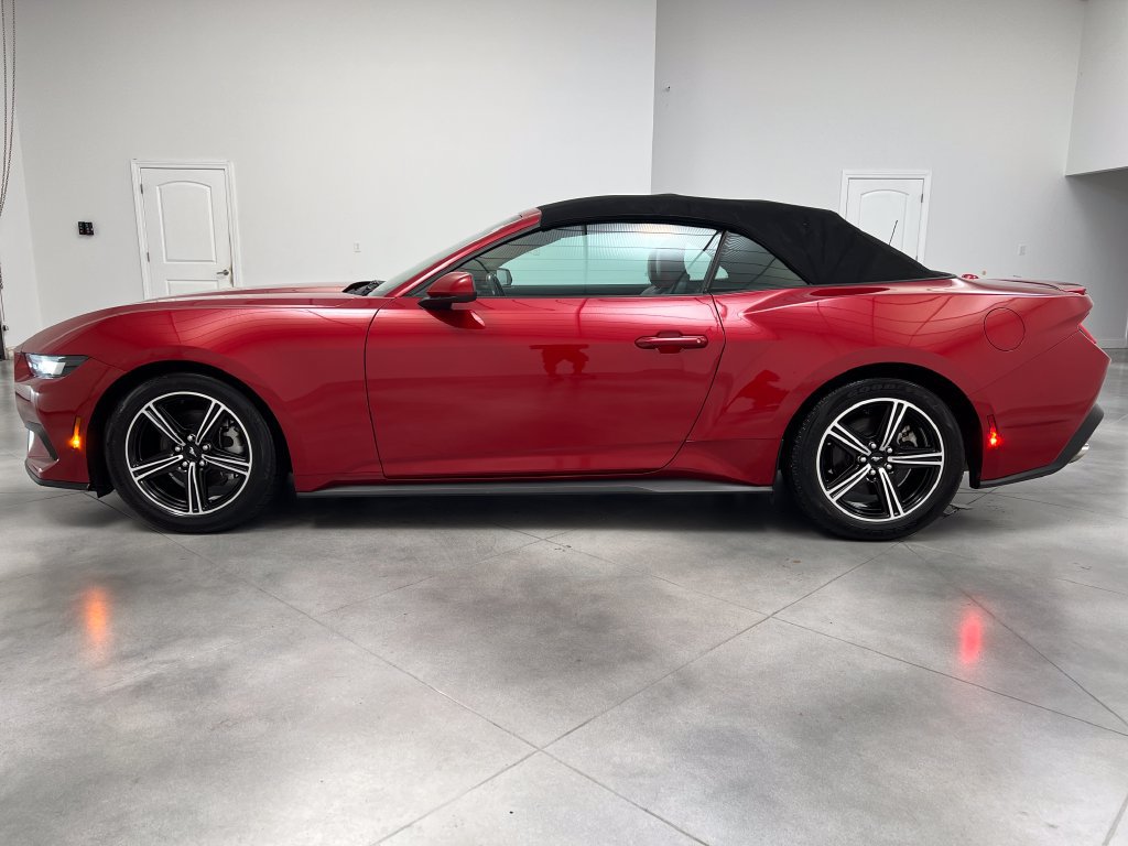 Used 2024 Ford Mustang Premium RWD image 5