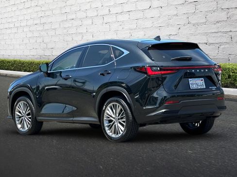 Used 2025 Lexus NX 350h AWD w/ Accessory Package (2T) image 6