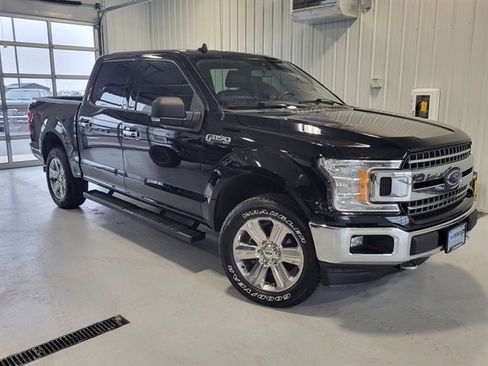 Used 2019 Ford F150 XLT w/ Equipment Group 302A Luxury image 1