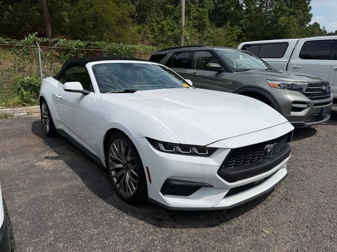 Used 2024 Ford Mustang Premium RWD image 1