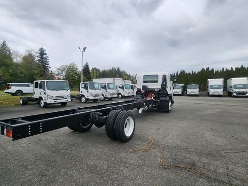 New 2025 Isuzu FTR 6500 XD image 7