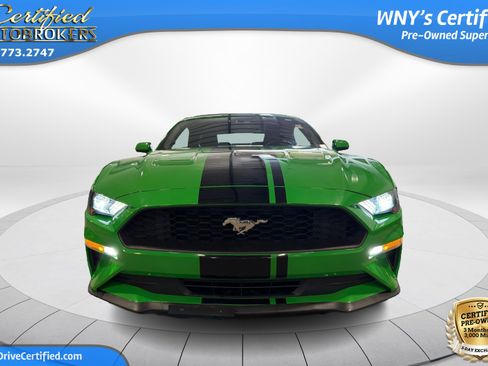 Used 2019 Ford Mustang Premium RWD image 2