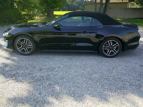 Used 2023 Ford Mustang Premium RWD image 2