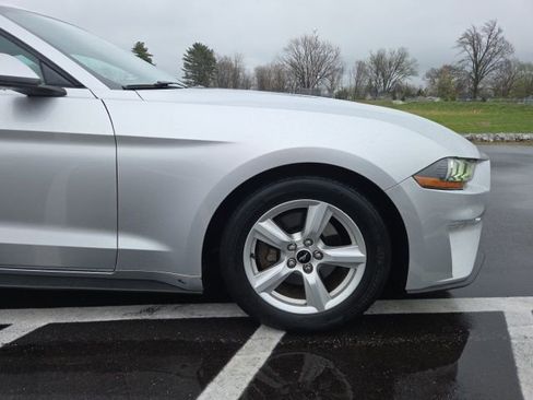Used 2019 Ford Mustang Coupe image 4