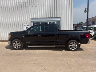 Certified 2023 Ford F150 XLT w/ Equipment Group 302A High