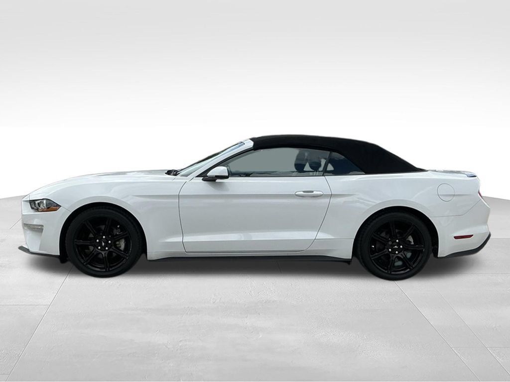 Certified 2019 Ford Mustang Premium w/ Black Accent Package RWD image 8