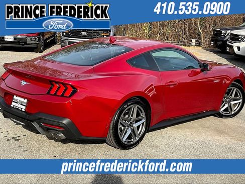 Used 2024 Ford Mustang Premium image 12