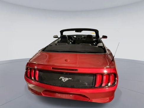 Used 2020 Ford Mustang Premium w/ Equipment Group 201A RWD image 5