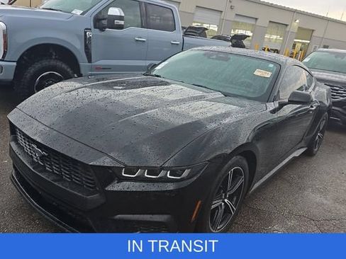 Used 2024 Ford Mustang Premium RWD image 1
