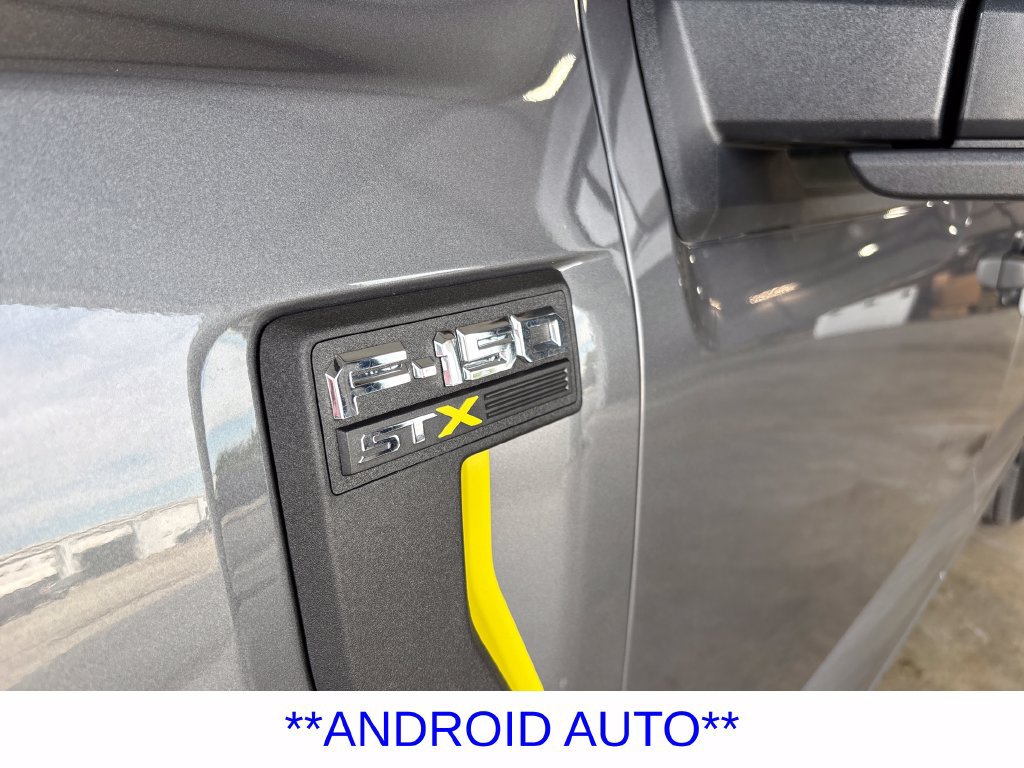 Used 2025 Ford F150 STX w/ Equipment Group 200A RWD image 10
