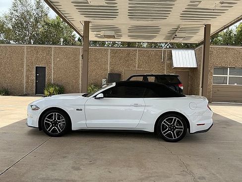Used 2019 Ford Mustang GT Premium w/ Equipment Group 401A RWD image 8