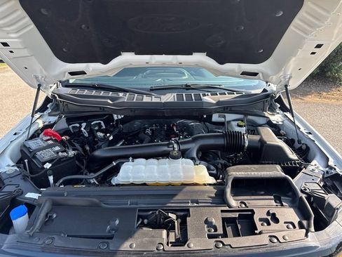 Used 2025 Ford F150 XLT w/ Equipment Group 301A Standard AWD/4WD image 9