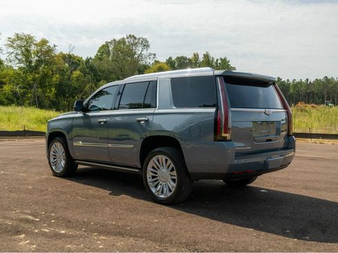 Used 2016 Cadillac Escalade Platinum RWD image 8