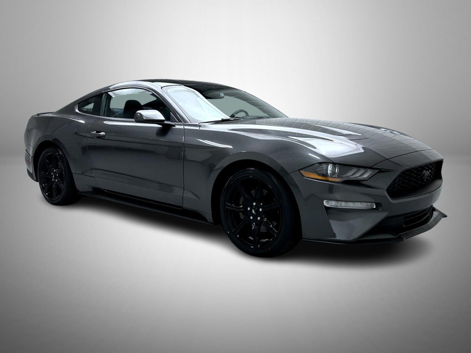 Used 2019 Ford Mustang Coupe w/ Black Accent Package RWD image 3
