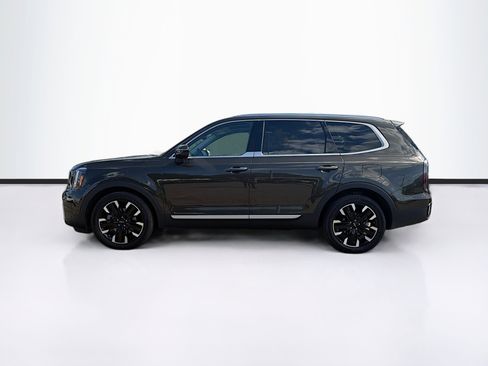 Used 2023 Kia Telluride SX image 6