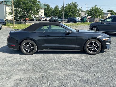 Used 2019 Ford Mustang Premium RWD image 9