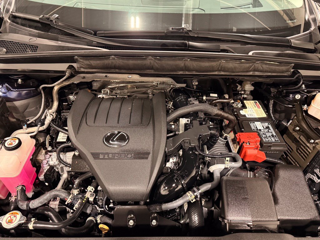 Used 2024 Lexus RX 350 Premium Plus w/ Convenience Package FWD image 12