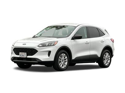 Used 2022 Ford Escape SE w/ Convenience Package