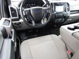 Used 2016 Ford F150 XLT w/ Equipment Group 302A Luxury image 2